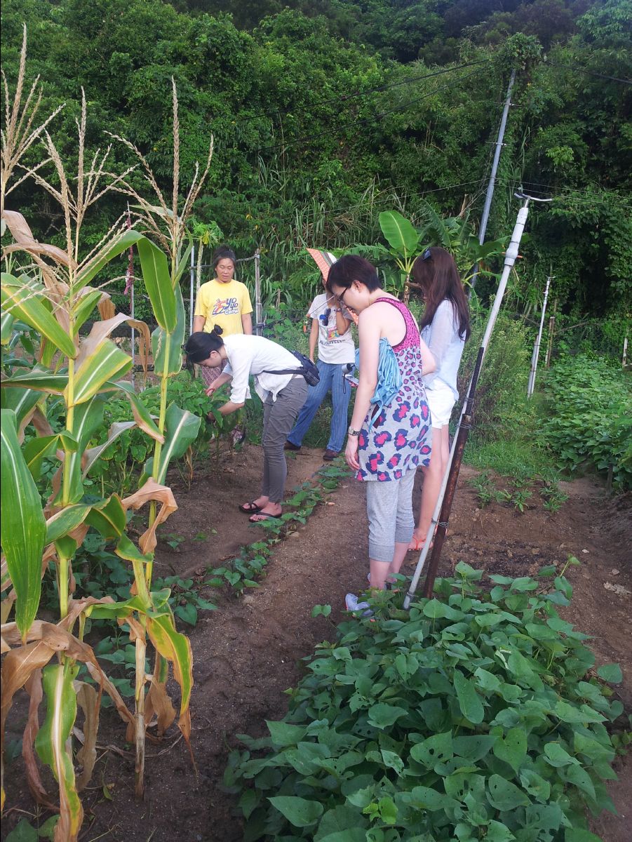 20100715Organic Farm16